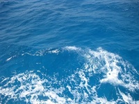 青岛海水水质检测