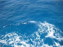 青岛海水水质检测