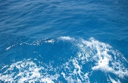 青岛海水水质检测
