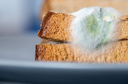 食品保质期方案