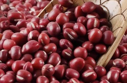 红小豆农残检测|红小豆成分检测