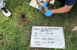 土壤及固体废弃物检测