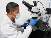 电子元器件外观检测