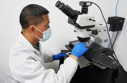 电子元器件外观检测