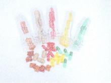 保健食品原料用菌种安全性评价