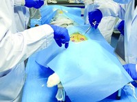 医疗器械生物相容性检测