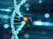 基因生物信息学分析_蛋白生物信息学分析_代谢组生物信息分析