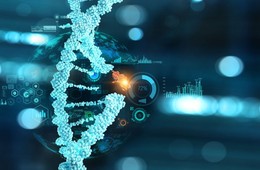 基因生物信息学分析_蛋白生物信息学分析_代谢组生物信息分析