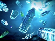 环境毒素检测