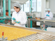 食品安全管理体系认证（ISO/HACCP/BRC/FSSC）