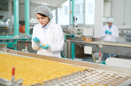 食品安全管理体系认证（ISO/HACCP/BRC/FSSC）