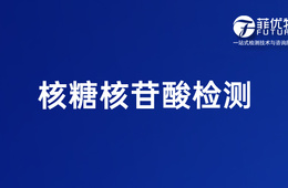 牛肉汤 核糖核苷酸检测