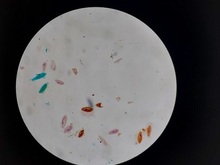 理化常规分析测试