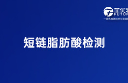 短链脂肪酸检测服务