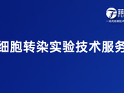 细胞转染实验技术服务