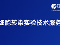 细胞转染实验技术服务