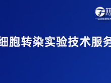 细胞转染实验技术服务