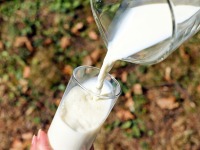 牛奶成分检测，营养成分分析