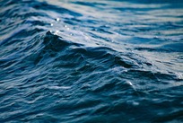 海水新型污染物检测