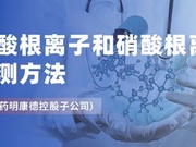 辅料中亚硝化试剂测定