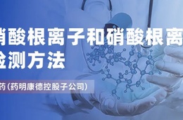 辅料中亚硝化试剂测定