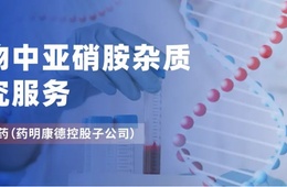 全球申报亚硝胺杂质研究