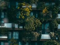 绿色建筑检测