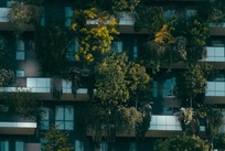 绿色建筑检测