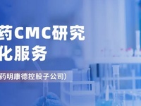 创新药CMC研究一体化服务