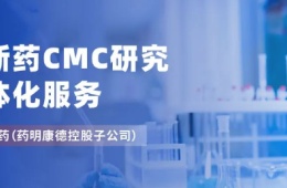 创新药CMC研究一体化服务