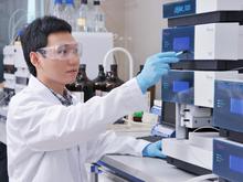 食品中非法添加酚汀（酚丁）、酚酞及其酯类衍生物或类似物的检测