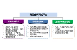 药品质量安全检测及方法开发和验证