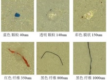 微塑料检测