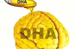 DHA检测