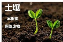 土壤检测