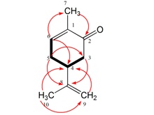 小分子化药结构确证