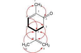 小分子化药结构确证