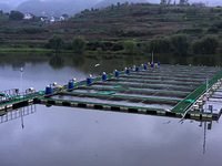 渔业水质检测|养殖水水质检测