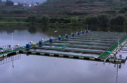 渔业水质检测|养殖水水质检测