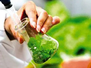 植物样本游离氨基酸检测