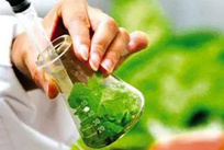 植物样本游离氨基酸检测