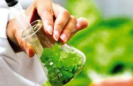 植物样本游离氨基酸检测