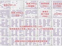微生物菌种鉴定