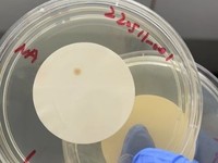 纯化水 注射用水 再生水 微生物限度检测