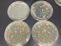 公共用品用具微生物检测