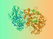 蛋白质组学