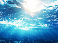 海水及沉积物 总有机碳含量测定