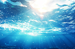 海水及沉积物 总有机碳含量测定
