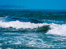 海水及沉积物油类物质检测