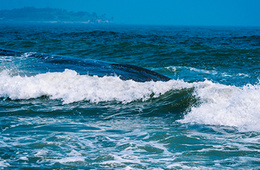 海水及沉积物油类物质检测